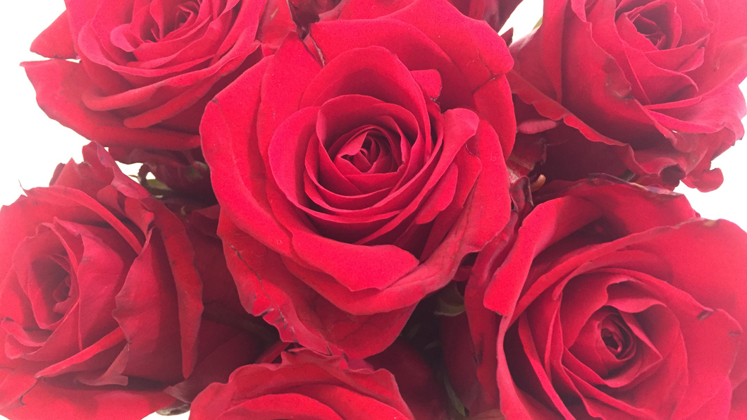 Im Namen der Rose Sonrisa