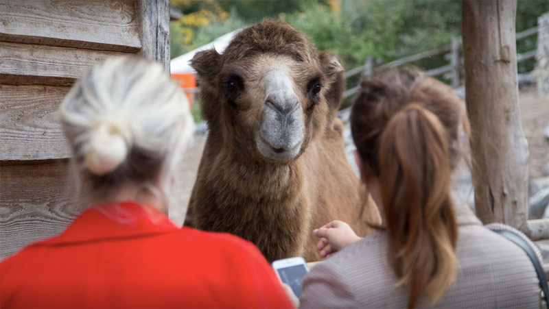 Selfnation Zoo Zürich