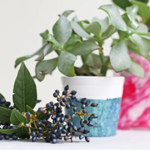 DIY und Beauty-Recycling in einem Schritt: Marmorien mit altem Nagellack, Schritt für Schritt erklärt auf sonrisa.ch.