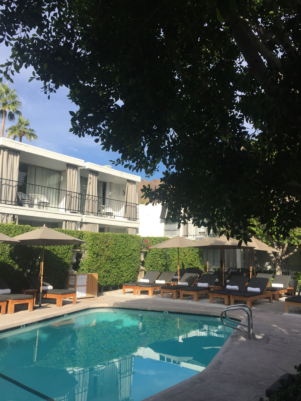 Das Hotel Avalon in Palm Springs ist ein idealer Ort zum Entspannen - und vielleicht sogar Stars zu sehen. 
