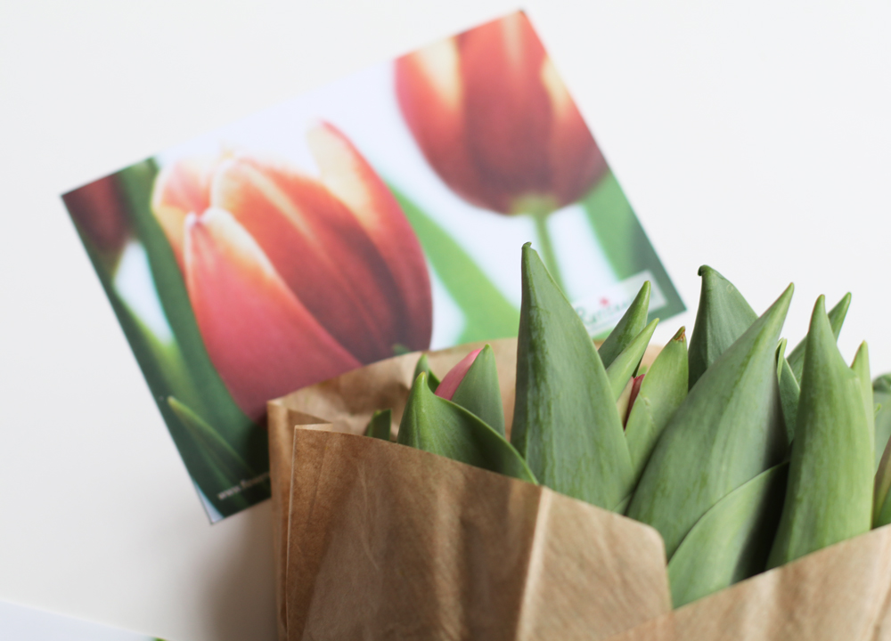 Mit dem sonrisa-Code gibt es zehn Prozent Rabatt auf den Tulpenservice von Flowerweb.