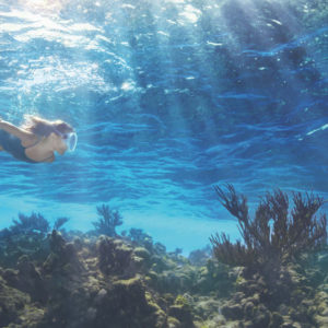 Mit der La Mer Blue Heart Mission können wir alle eine wohlwollende Welle von Gutem erzeugen und die Lebensräume in den Ozeanen schützen.