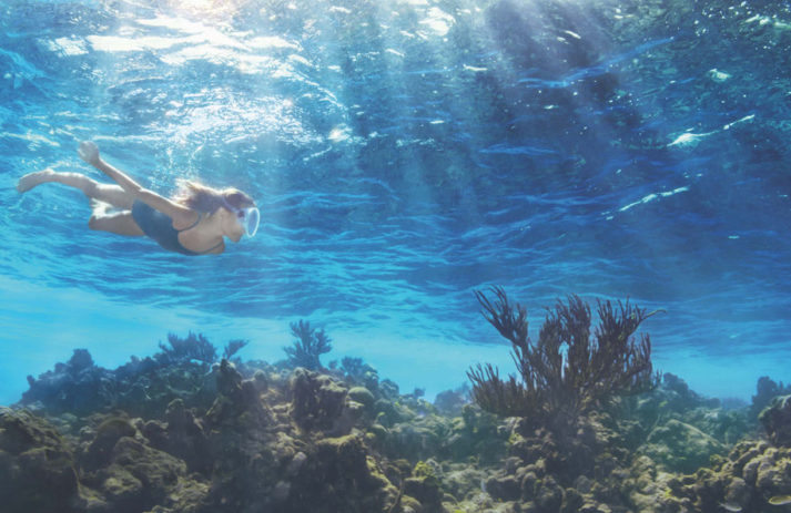 Mit der La Mer Blue Heart Mission können wir alle eine wohlwollende Welle von Gutem erzeugen und die Lebensräume in den Ozeanen schützen.