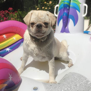 Mit den Beauty-Tipps von sonrisa kommst Du frisch durch den Sommer.