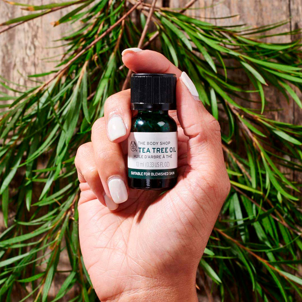 Teebaumöl ist ein beliebter Wirkstoff in der Kosmetik. Aus gutem Grund, wie sonrisa weiss, wo Du alle Fakten zu diesem pflanzlichen Schönmacher findest.