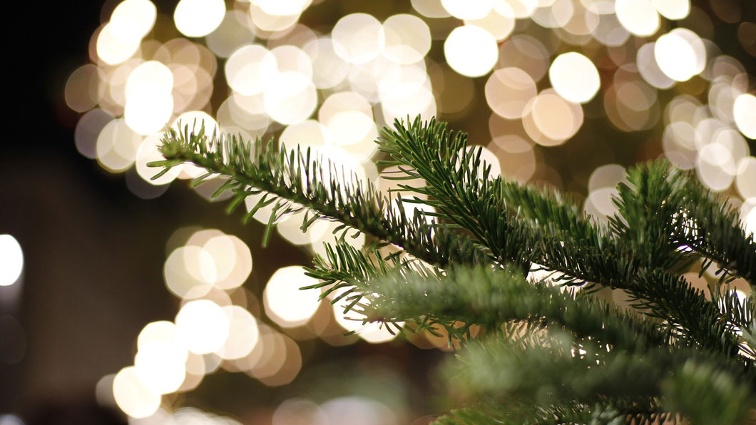 Happy holidays 2019!