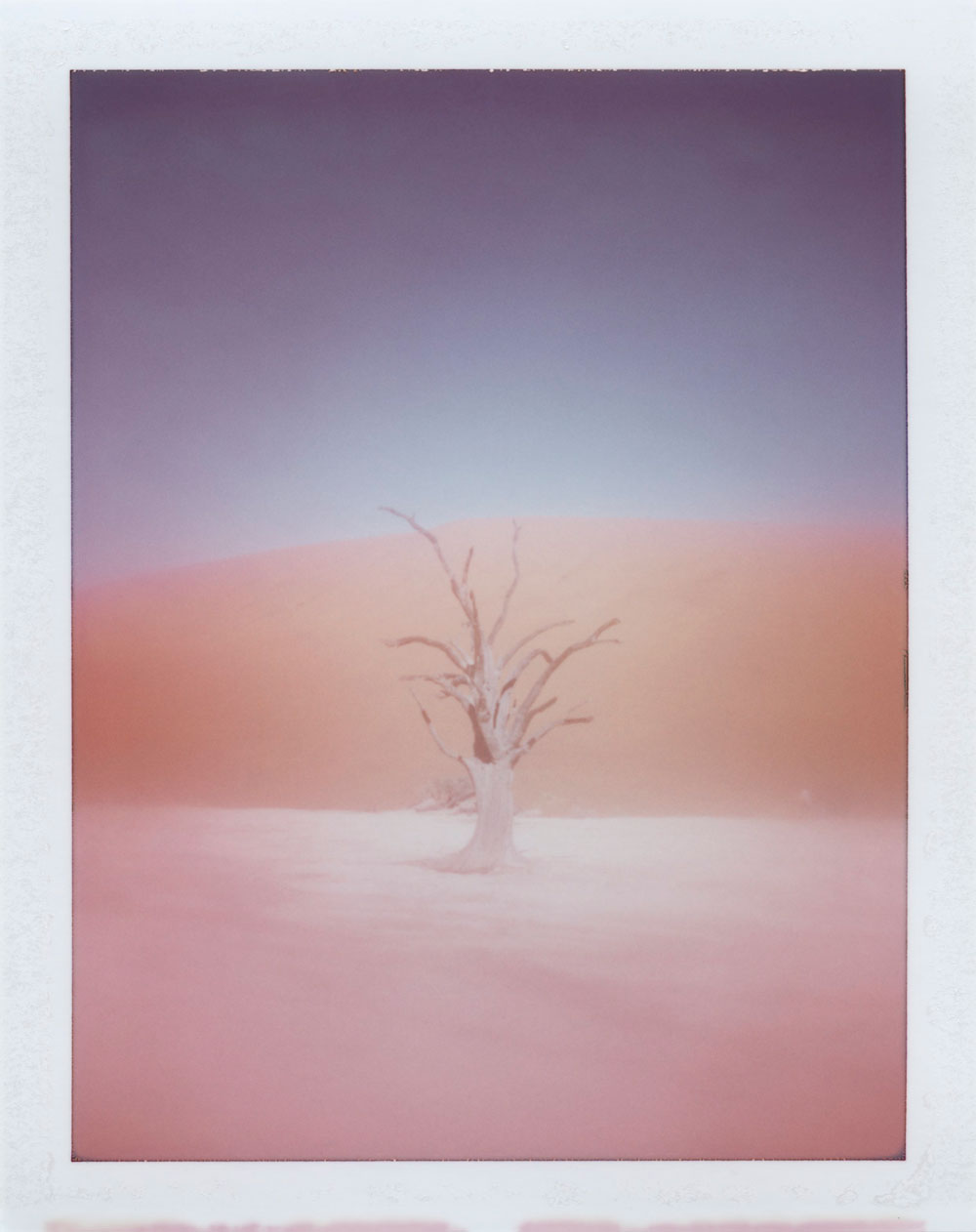 Traumhaft schön: Die von der Wüste inspirierte Chanel-Frühlingskollektion 2020 Desert Dream.