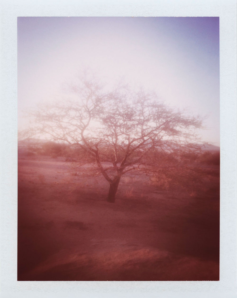 Traumhaft schön: Die von der Wüste inspirierte Chanel-Frühlingskollektion 2020 Desert Dream.