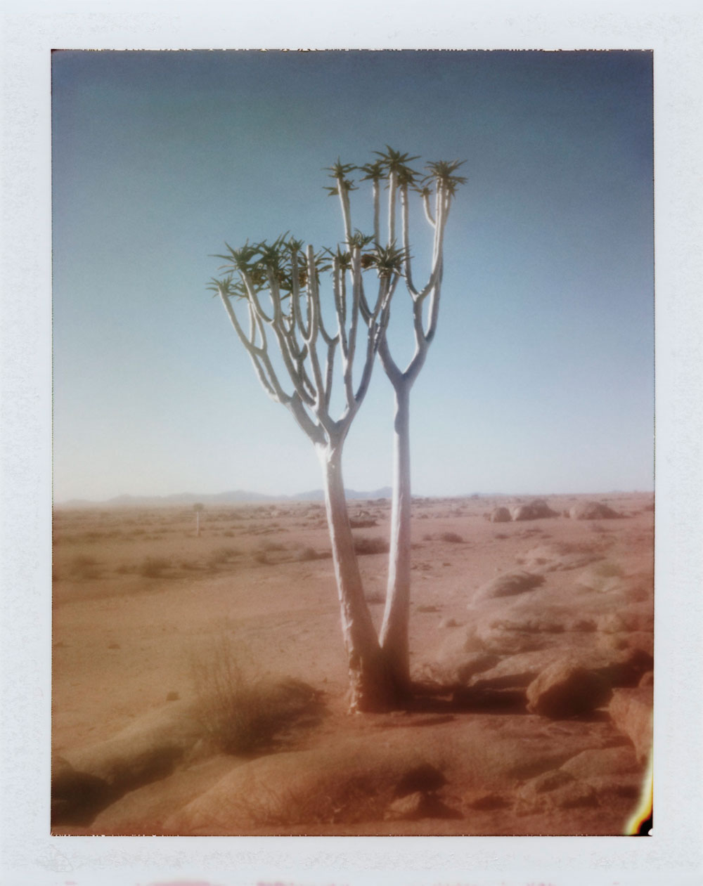 Traumhaft schön: Die von der Wüste inspirierte Chanel-Frühlingskollektion 2020 Desert Dream.