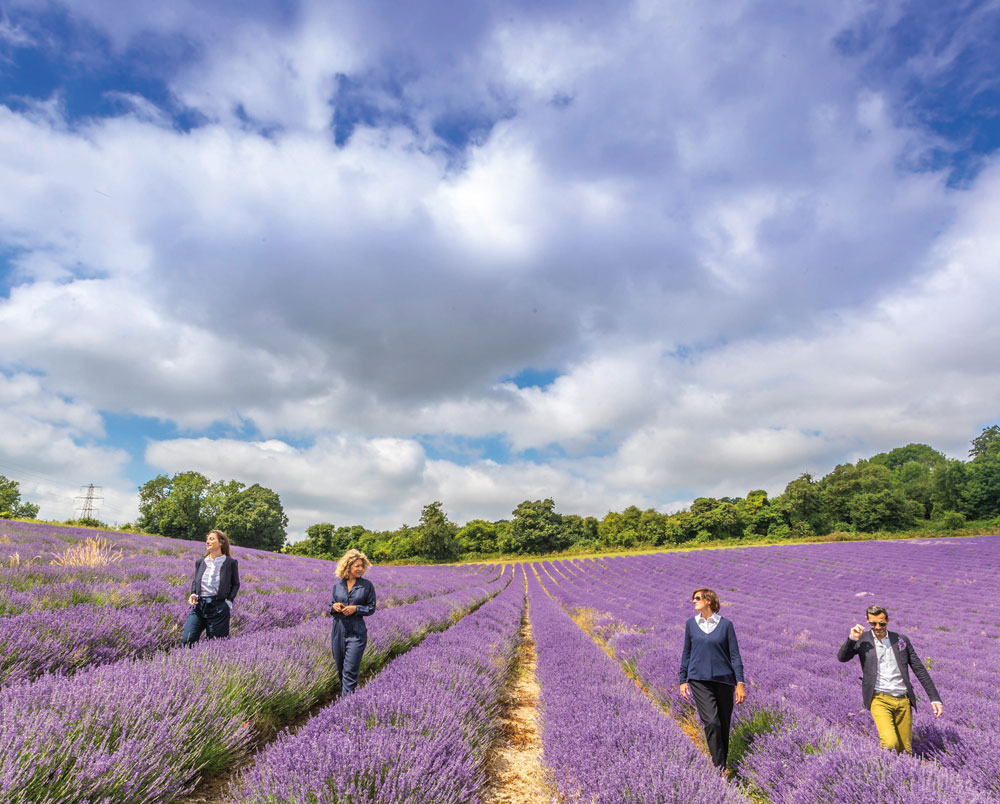 Die Brit-Kollektion 2020 Lavendelland von Jo Malone London ist eine vielfältige Hommage an Englischen Lavendel.