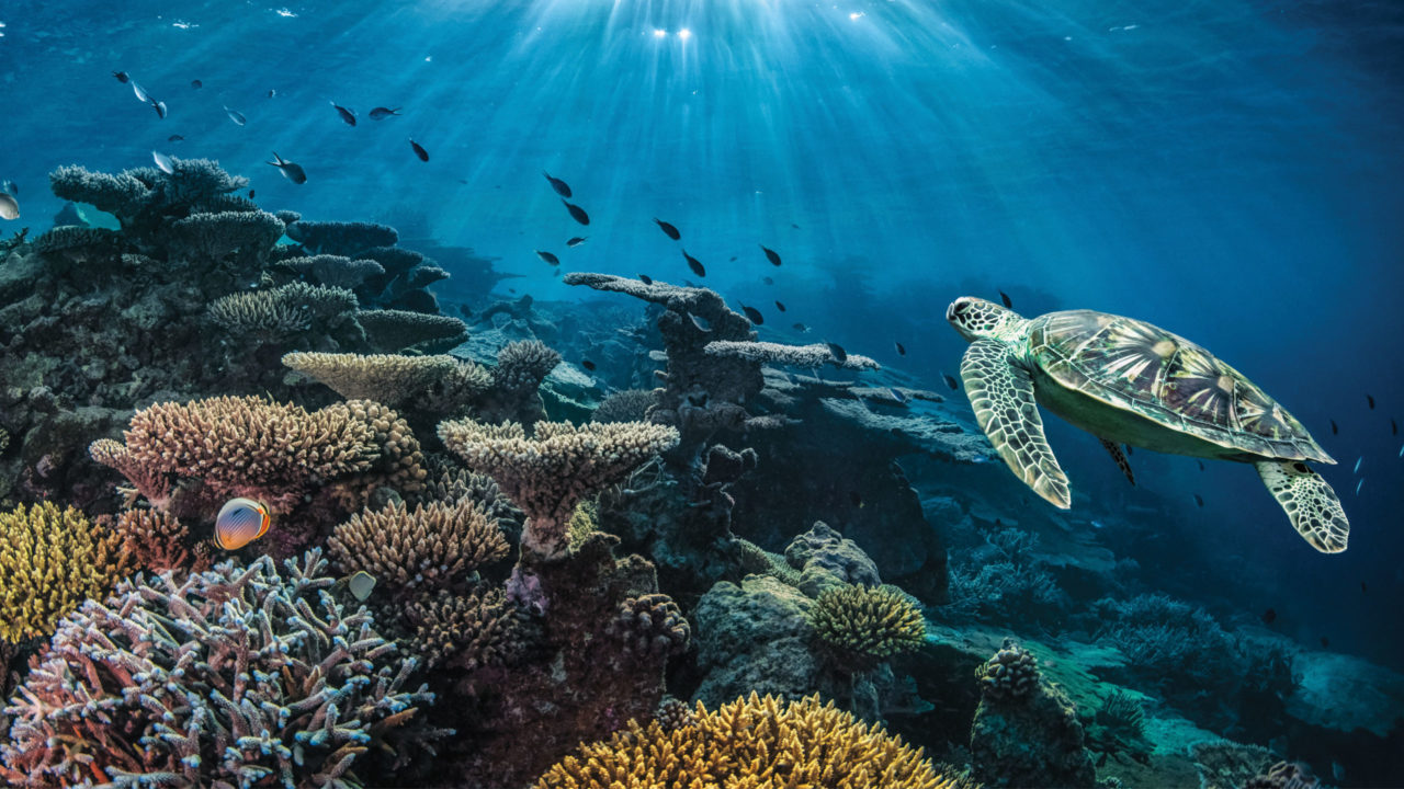 Zum Schutz der Weltmeere lanciert La Mer auf Social Media eine digitale Kampagne.