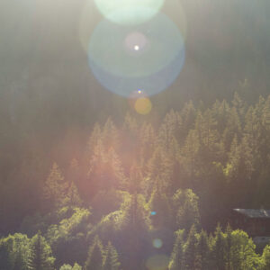 Impressionen von den Waldbaden-Retreats im Berner Oberland.