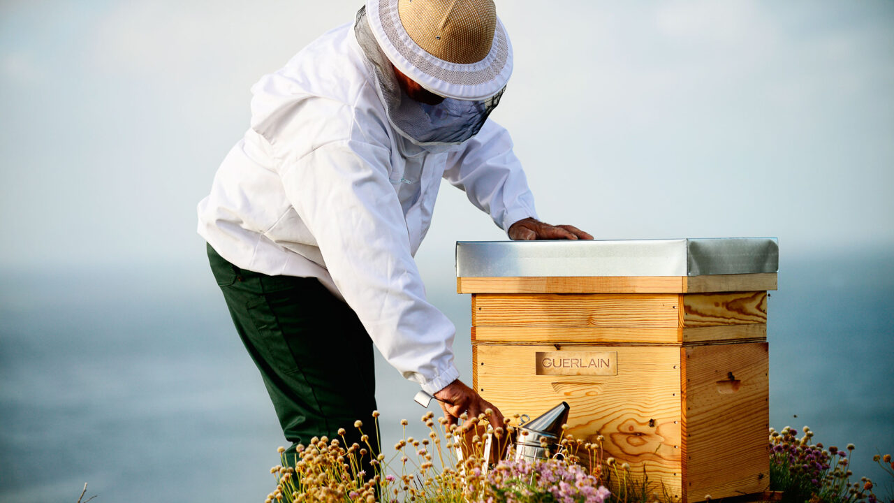 Seit 1853 die Biene wurde zum Symbol für Guerlain wurde, schmückt sie nicht nur die kultigen Flakons, sondern inspiriert die Nachfahren des Firmenbegründers auch immer wieder zu neuen Hautpflege-Kreationen – und vielen Projekten zum Schutz von Bienen.
