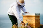 Seit 1853 die Biene wurde zum Symbol für Guerlain wurde, schmückt sie nicht nur die kultigen Flakons, sondern inspiriert die Nachfahren des Firmenbegründers auch immer wieder zu neuen Hautpflege-Kreationen – und vielen Projekten zum Schutz von Bienen.
