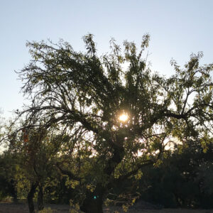 Im grossen Sonnenschutz-Glossar auf sonrisa werden die wichtigsten Begriffe einfach erklärt.