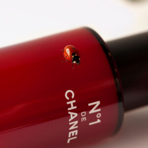 Im dritten Teil der Serie über N° 1 de Chanel gibt es alle Informationen zur Nachhaltigkeits-Strategie der neuen Clean Beauty Linie.