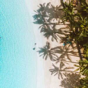 Sommerstimmung pur: Die neue Bronze Goddess Nuit Kollektion sorgt für Beach Vibes im Bad und weckt damit die innere Sonnengöttin endgültig aus dem Winterschlaf auf.