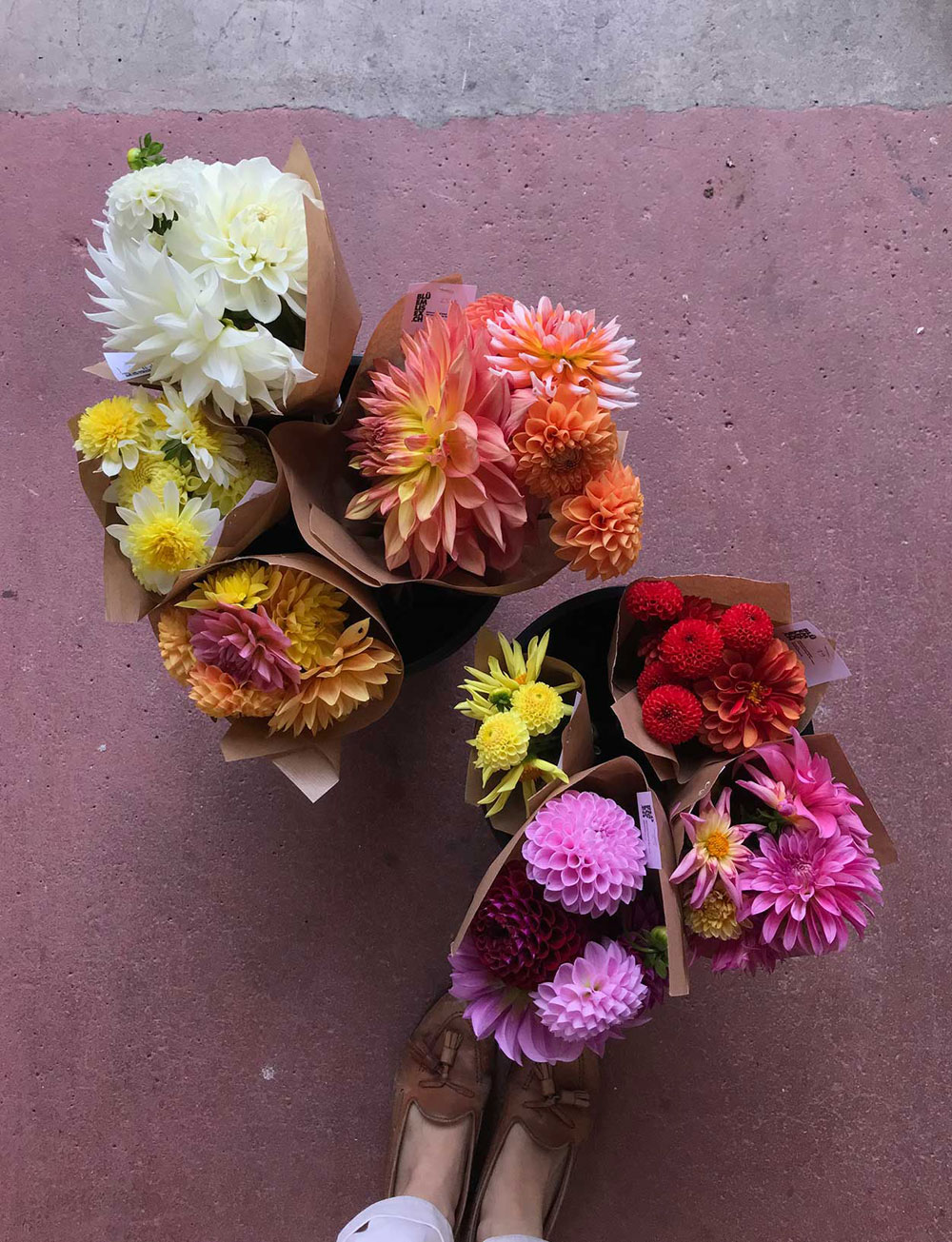 Flowerpower und Frauenpower: sonrisa verlost zwei Bons für den Onlineshop Bluemlisex von Girlboss Ulrike, die nachhaltige Blumen aus der Schweiz anbietet.