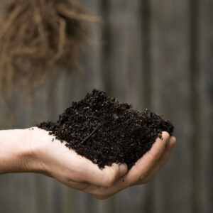 Weleda und Topmodel Arizona Muse engagieren sich zum Schutz der Erde, die wir gleich behandeln sollten wie unsere Haut: Richtig gut.