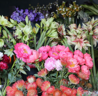 Blumenparfums machen glücklich, sagt die Wissenschaft. Passend dazu stellt sonrisa die vier besten Blumenduft-Neuheiten vor.