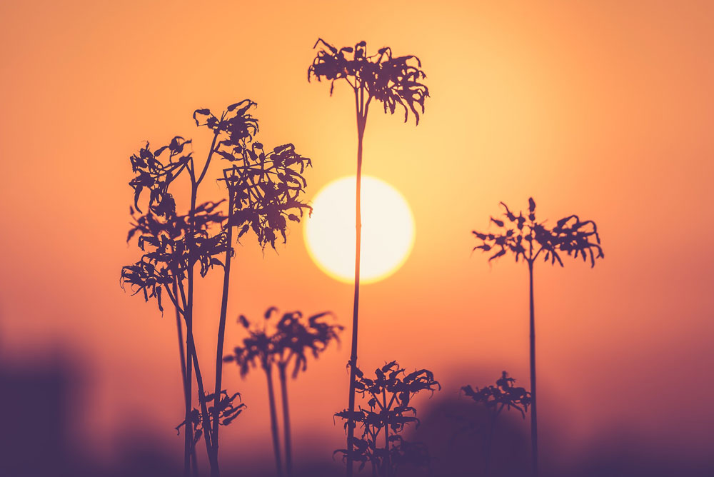 Gastbloggerin Florina testet für sonrisa drei Sonnenschutzprodukte von günstig bis luxuriös. 
