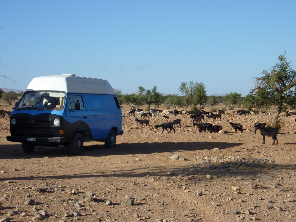 Seit zehn Jahren steht Be Pure für hochwertige Naturkosmetik mit Wirkung. Jetzt feiert das Schweizer Label Jubiläum und verlost ein luxuriöses Selfcare-Set