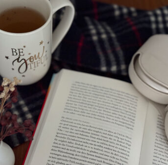 November-Highlights auf sonrisa für drinnen: Kinderbuch Der kleine Brülli, Kate Earls Musik-Album Tongue Tied und die binge-würdige Romcom-Serie Nobody Wants This Staffel 2.